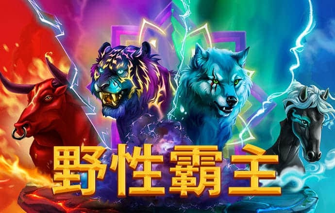 小金体育平台截图1